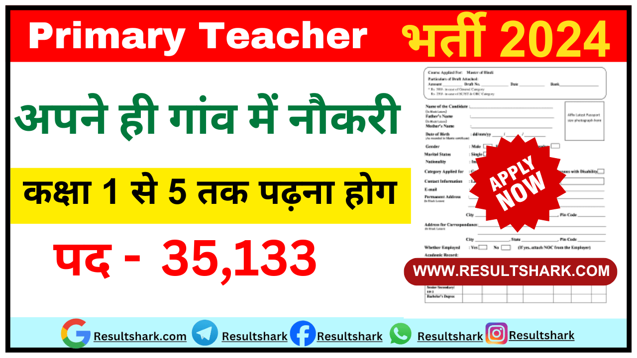 Primary Teacher Vacancy in Government School